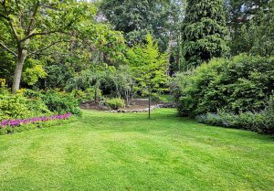 Optimiser l'expérience du jardin à Saint-Christophe-en-Brionnais